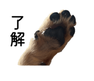 836322785