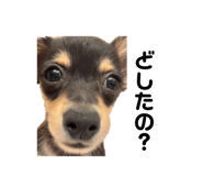 836322791