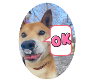 836325506