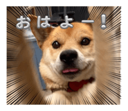 836325520