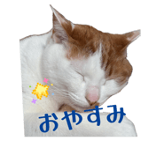 836326337