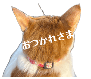836326344