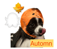 836326496