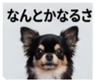 836330937