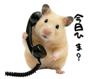 836332585