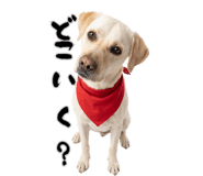 836332593