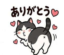 836336203