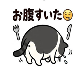 836336206