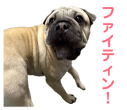 836346325