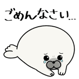 836347205