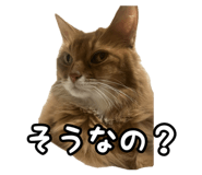 836349292