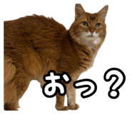 836349294