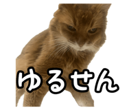 836349302