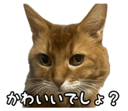 836349309