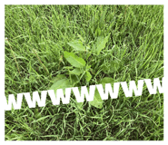 836363475