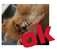 836364338