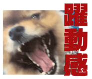 836364344
