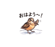836365801