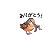 836365802