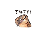 836365803