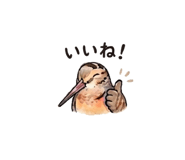 836365804