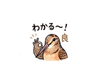 836365807