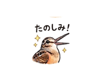 836365812