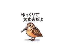 836365817