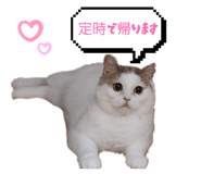 836370699