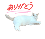836370702