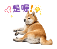 836382203