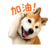 836382206