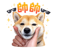 836382213