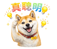 836382222