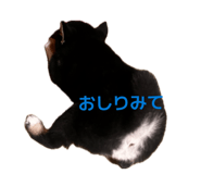 836388079
