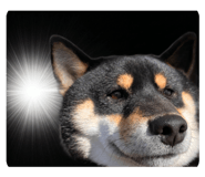 836388080