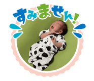 836394478