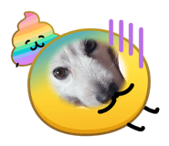836398817