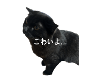 836400836