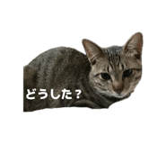 836411682