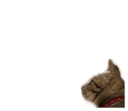 836411690