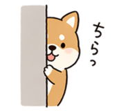 836411806