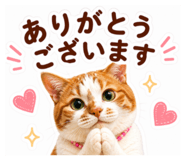 836416870