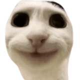 836420645