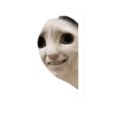 836420650