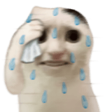 836420653
