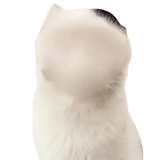 836420655