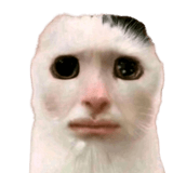 836420660