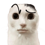 836420662