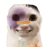 836420674